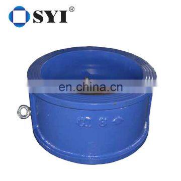 Cast Iron Check Valve DN 1000 photo-4
