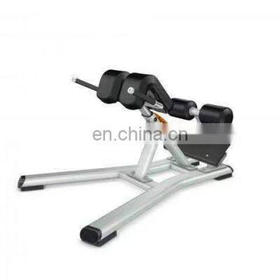 Gym Exercise Equipment ASJ-DS033 Manufacturers Provide Gym Sports Equipment 45 Degree Lower Back Extensions Exercise Bench photo-3