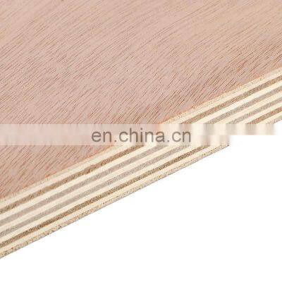 Commercial Okume Plywood BB/CC 18mm photo-3