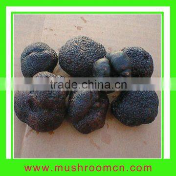 Fresh Organic Tuber Truffle