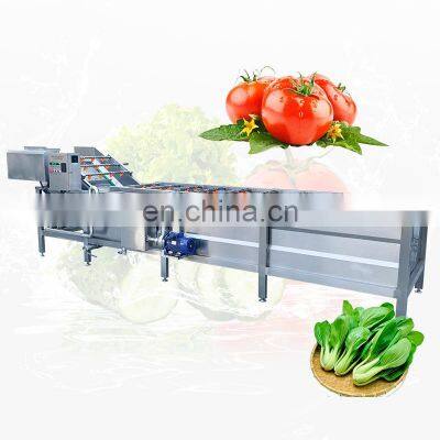 Best Commercial Home Vegetable Fruit Banana Date Washer Automatic Seafood Fish Bubble Wash Machine