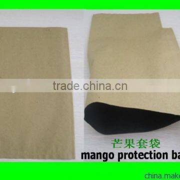 Mango protect paper bag factory price 12 years experience