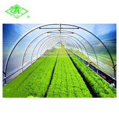 UV PE Greenhouse Film For Planting Tomatoes photo-4