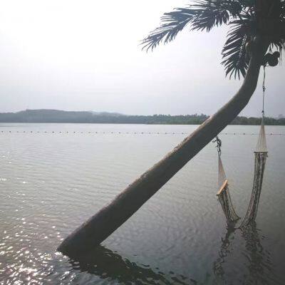 Customization Artificial Coconut Palm Tree for 5 Star Hotel Villa Engineering Project Garden Landscape Design 3-15 Meter Trees photo-3