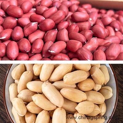 Industrial Dry Peeler Machine Nuts Peeling Machine Automatic Nuts Peanut Skin Removing Machine for Food Processing photo-4