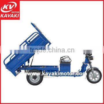 China Guangzhou 650W 900W 1000W Motor Power Heavy Loading Adult Tri Cycle