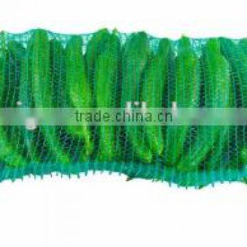 Factory Wholesale Onion Mesh Bags photo-5