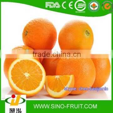 Fresh navel orange/wholesale price orange