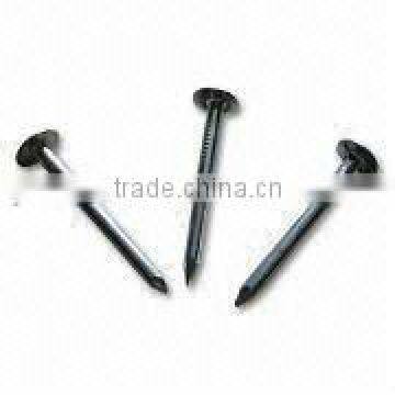 Galvanized-roofing nails