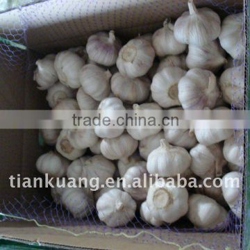 2013 Pure White Garlic