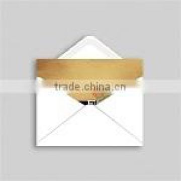 Standard White Envelopes 100/PK