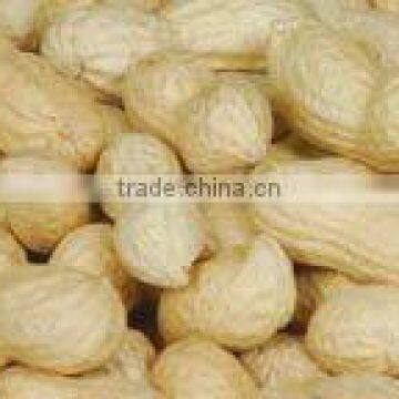 Peanut in Shells photo-4