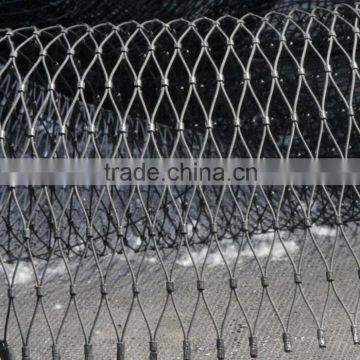 CE Certificated Stainless Steel Black Oxidized Zoo Mesh Supplier's Choice photo-6