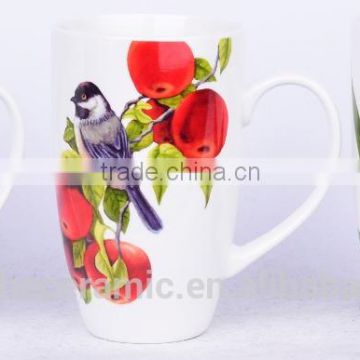 400ml Birds( parrot) photo mugs