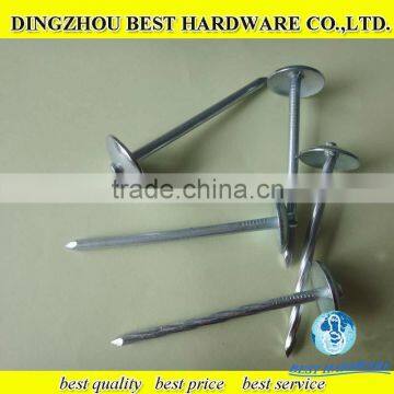galvanized iron roofing nail with umbrella head