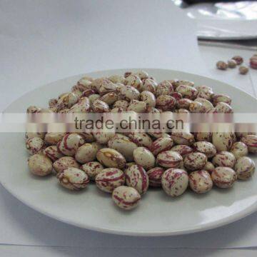 CHITEE BEANS photo-3