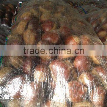 New arrival Fresh Chestnut harvester, edible chestnuts,Bulk Chestnut in bag