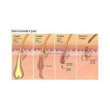 High Quality Alarm Tag Laser Diode Remove Security From China photo-3