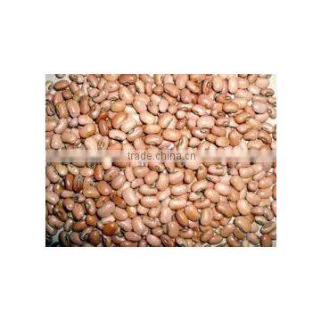 high quality cow peas