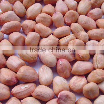 Chinese Light Peanut Kernel With Red Skin photo-3