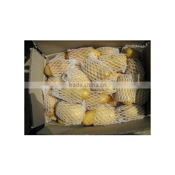 2011 A Grade Holland Potatoes