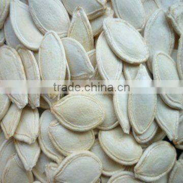 2011 new crop snow white pumpkin seeds,edible pumpkin seeds