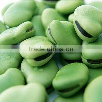 Frozen broad beans