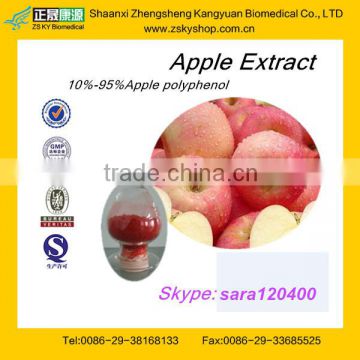 Apple Polyphenol Extract Powder