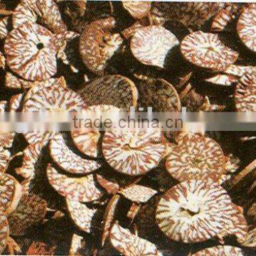 areca seed