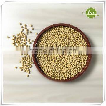 JSX Organic Soybeans For Making Organic Food