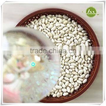 JSX Long Shape White Kidney Beans Food Trade Export photo-2