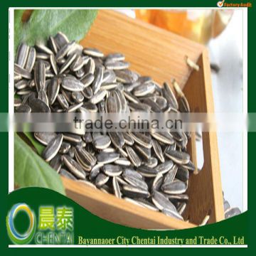 New Crop American Tpye White Striped Sunflower Seeds