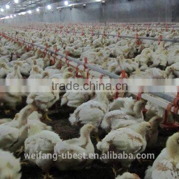Poultry equipment/Broiler farm/Chicken pen