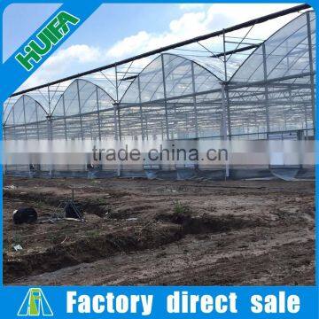 Huifa Professional Commercial Hydroponics Systems for Lettuce/ Spinach Growing photo-5