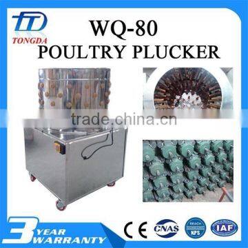 WQ-80 used chicken pluckers for sale