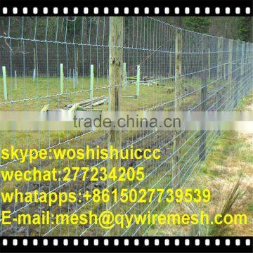 Hinged Joint Wire Field Fence For Farm,Forest ,Wild Dog/Farm Fence