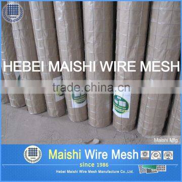 1/2" Sq Black PVC Coated Welded Wire Mesh photo-6