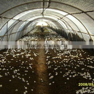 Plastic Film Products Mushroom Greenhouse Film for Agriculture photo-5