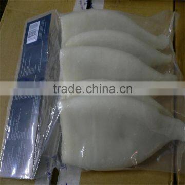 High Quality Pacific Squid Tube (Todarodes Pacificus) photo-6