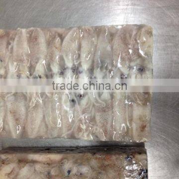 Hot Sale Whole Round Frozen Baby Squid photo-6