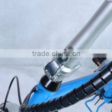 High Quality Foldable Electric Bike 250W Mini Folding Electric Bike for Sale photo-5