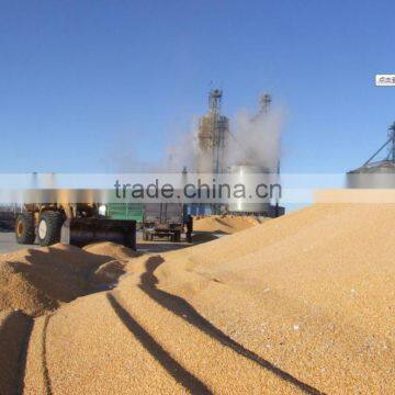 Customized 90 Degree Transmission Gearbox photo-6