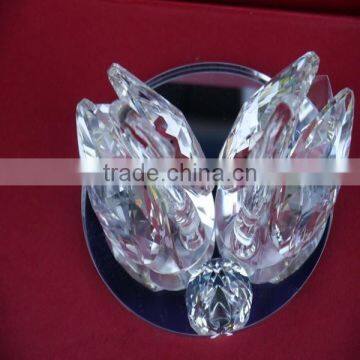 Best Selling Products for Clear Swan photo-5