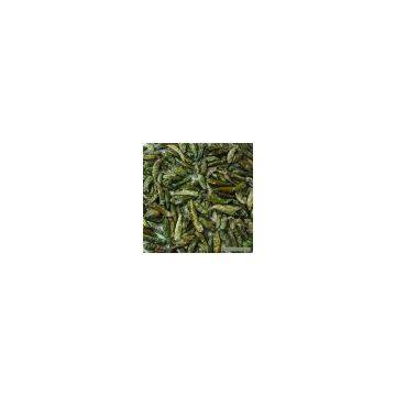 Sell Cyan Dried Chili