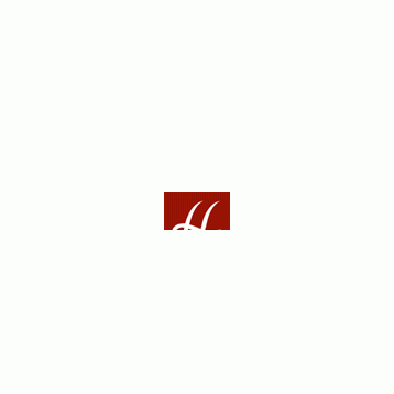Shanghai Longfeng Xinyu Headwear & Accessory Co., Ltd.