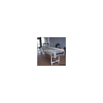 Chain Conveyor