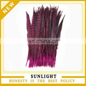 Fashion Dyed Ladies' Amherst Pheasant feather Tails for Sale