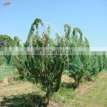 Special useful anti bird net for protecting farm to catching bird