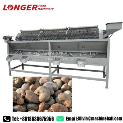 Hot Sale Cashew Nut Sorting Machine Cashew Sorting Machine