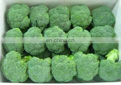 2020 High Quality Fresh Vegetable Fresh Broccoli photo-3